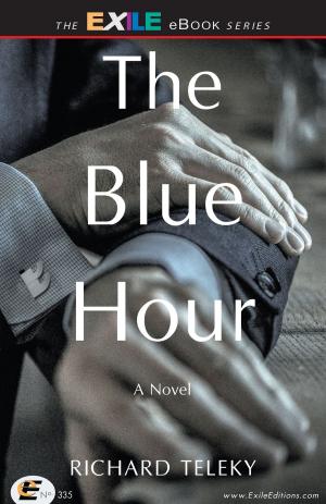 Book cover of Blue Hour