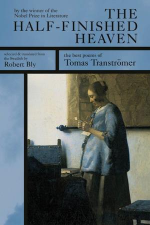Book cover of The Half-Finished Heaven