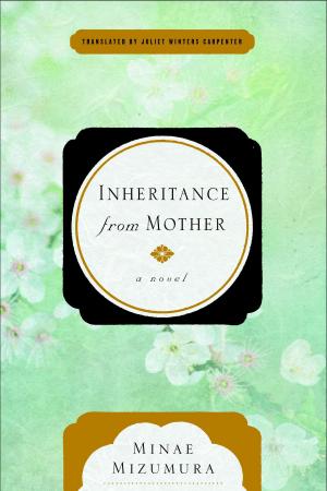 Cover of the book Inheritance from Mother by Anka Muhlstein