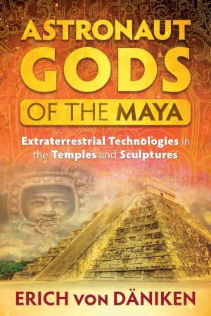 Cover of the book Astronaut Gods of the Maya by John Major Jenkins, Martin Matz