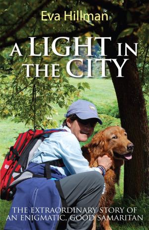 Cover of the book A Light in the City by Mary Ann Poll