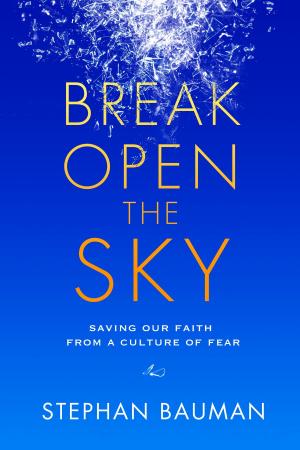 Book cover of Break Open the Sky