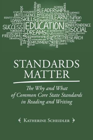 Cover of the book Standards Matter by Robert Kane