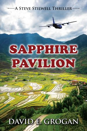 Cover of the book Sapphire Pavilion by David Linzee