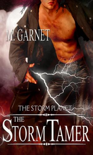 Cover of the book Storm Tamer, The by Kaitlyn O'Connor