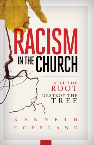 Cover of the book Racism in the Church by George Stormont