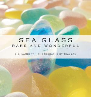 Cover of the book Sea Glass by Trudy Irene Scee