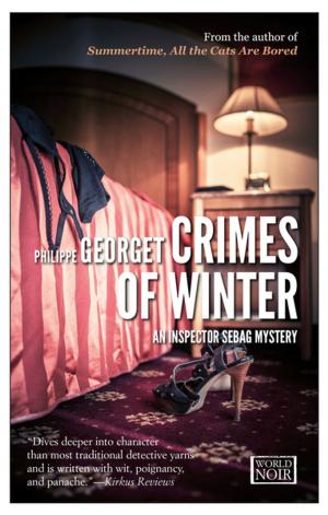 Cover of the book Crimes of Winter by Kate Southwood