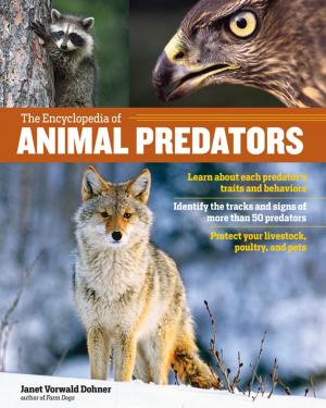 Cover of the book The Encyclopedia of Animal Predators by Kirsten K. Shockey, Christopher Shockey