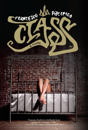 Cover of the book Class by Kristen LePine