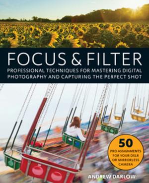 Cover of the book Focus and Filter by Daniel Chaffey
