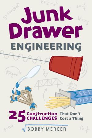 Cover of the book Junk Drawer Engineering by Claudia Zaslavsky