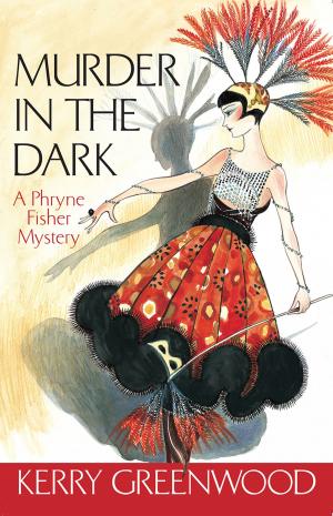 Cover of the book Murder in the Dark by Jane Stanton Hitchcock