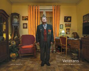Book cover of Veterans
