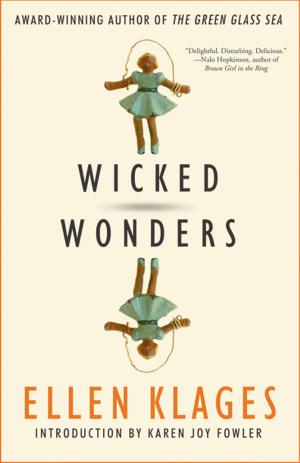 Cover of the book Wicked Wonders by Peter S. Beagle