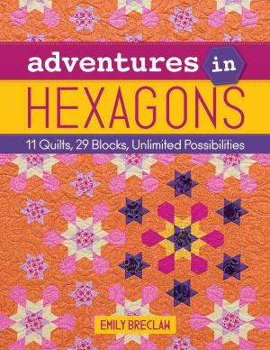 Cover of the book Adventures in Hexagons by Gailen Runge, Amy Adams, Lynette Anderson, Leanne Beasley, Kristyne Czepuryk