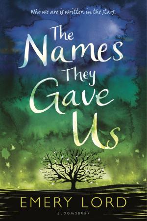 Cover of the book The Names They Gave Us by Anita Anand