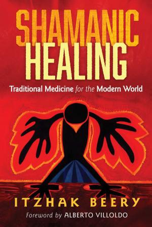 Cover of the book Shamanic Healing by Greg Bogart