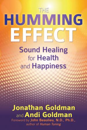 Book cover of The Humming Effect