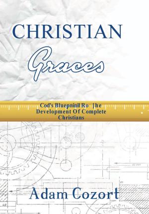 Book cover of The Christian Graces