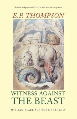 Cover of the book Witness Against the Beast by David Cole, Melanie Wachtell Stinnett