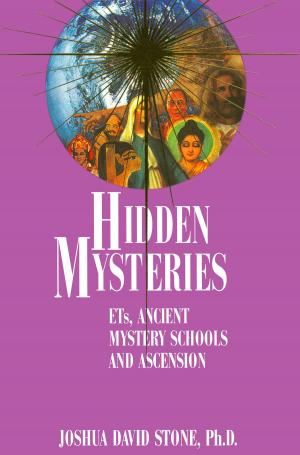 Cover of the book Hidden Mysteries by Trini Macias Ojeda