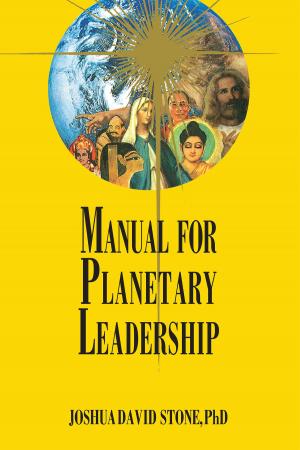 Cover of the book Manual for Planetary Leadership by Leia Stinnett