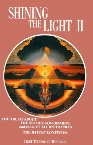 Cover of the book Shining the Light II by Rae Chandran, Robert Mason Pollock