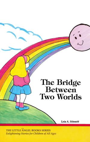 Book cover of The Bridge Between Two Worlds