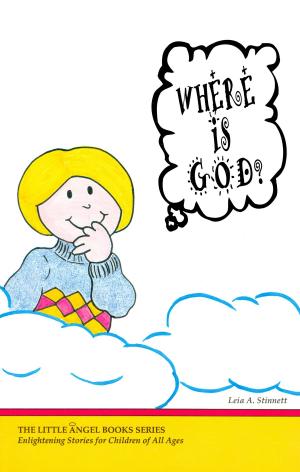 Cover of the book Where Is God? by 陳資涵