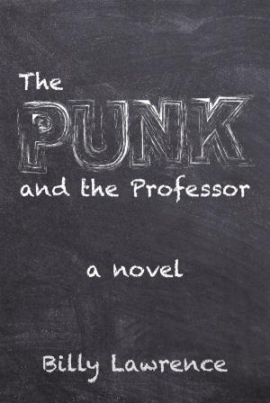 Cover of the book The Punk and the Professor by D. R. Belz