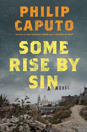 Book cover of Some Rise by Sin