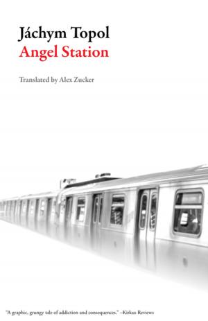 Cover of the book Angel Station by Juan Goytisolo