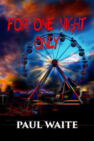 Cover of the book For One Night Only by S Evan Townsend