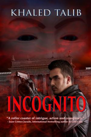 Cover of the book Incognito by Max E. Stone