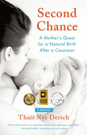 Cover of the book Second Chance by Nan Gefen, Sandra Butler