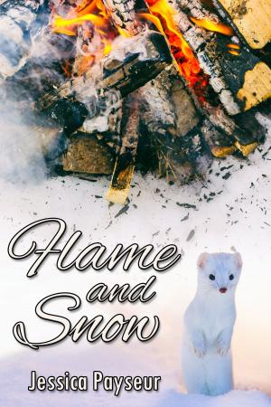Cover of the book Flame and Snow by Temple Madison
