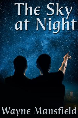 Cover of the book The Sky at Night by Wayne Mansfield