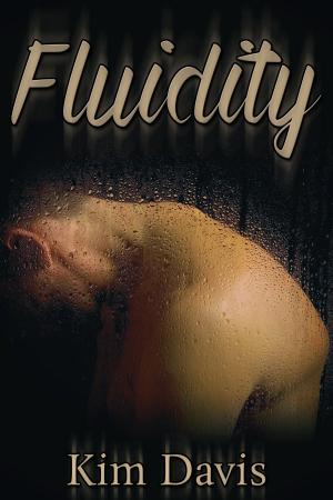 Cover of the book Fluidity by K.L. Noone