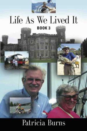 Cover of the book LIFE AS WE LIVED IT: BOOK 3 by Fred Stinson III