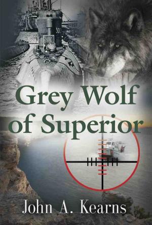 Cover of the book GREY WOLF OF SUPERIOR by Johnny Townsend
