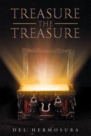 Book cover of Treasure The Treasure