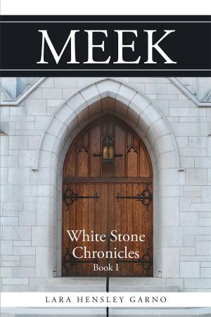 Cover of the book Meek: White Stone Chronicles Book 1 by Sandra Powell Sutton