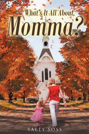 Cover of the book What's It All About, Momma? by Lama Christie McNally