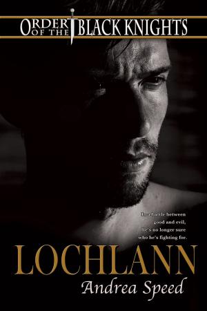 Cover of the book Lochlann by Brandon Witt