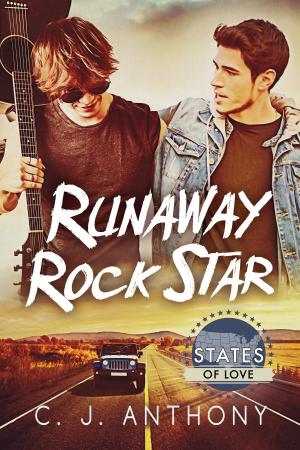 Cover of the book Runaway Rock Star by Rick R. Reed, Vivien Dean