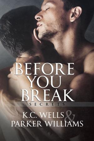 Cover of the book Before You Break by C.S. Poe