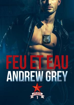 Book cover of Feu et eau