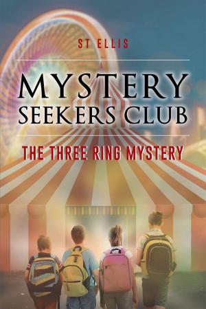 Cover of the book Mystery Seekers Club by Kim Gbadebo