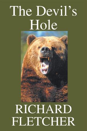 Book cover of The Devil's Hole